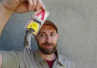 Fresno pest control